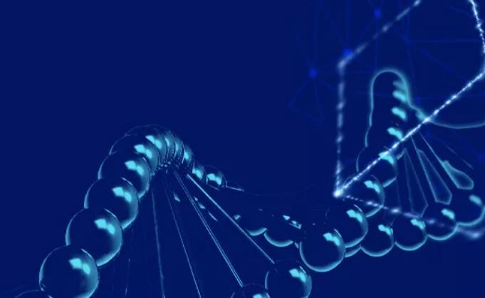 OPPO �����¿��Ʒ